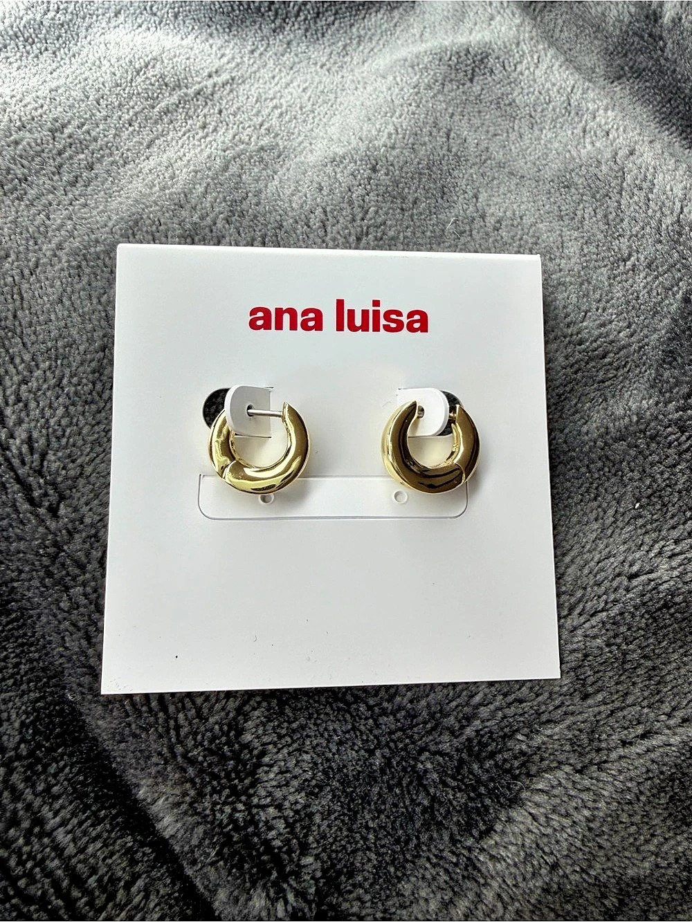 NWT Ana Luisa Wade Mini Hoop Earrings in Gold